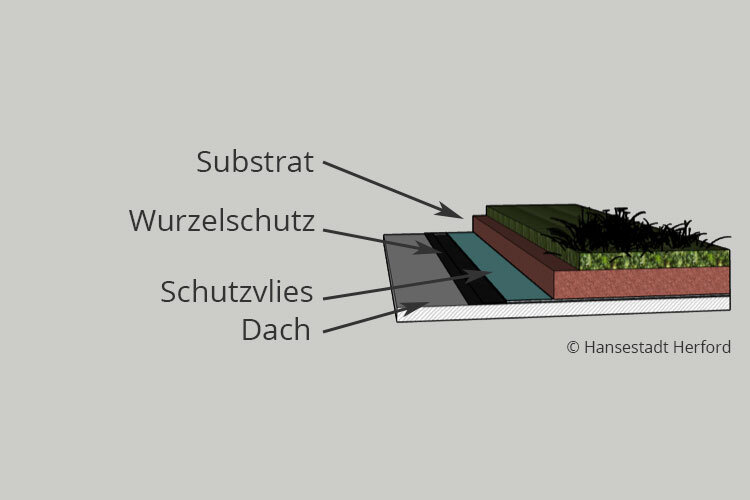 Schichtaufbau_1_Dachgrun_inten siv_Bild_Hansestadt_Herford